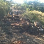 Today, they began clearing the land where the seminary will be built